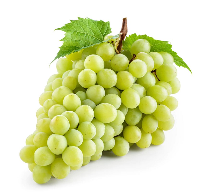 نهال انگور عسگری